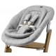 Стульчик для кормления Carrello Focus CRL-16801, Croissant Beige (Светло-бежевый)