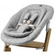 Стульчик для кормления Carrello Focus CRL-16801, Whisper Grey (Серый)