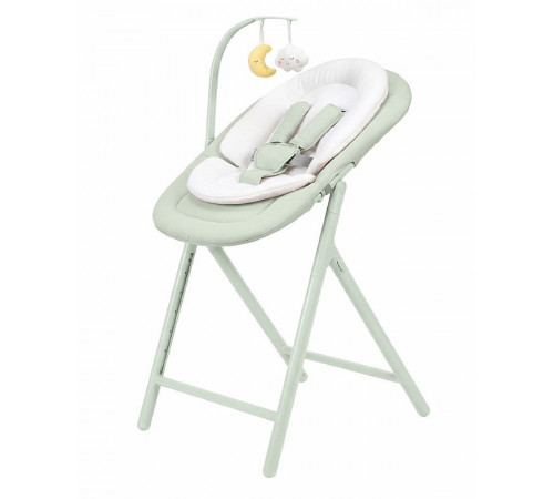 Стульчик для кормления Carrello Tenero CRL-9507, Elysium Green (Зеленый)