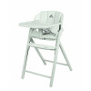 Стульчик для кормления Carrello Tenero CRL-9507, Elysium Green