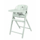 Стульчик для кормления Carrello Tenero CRL-9507, Elysium Green (Зеленый)