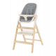 Стульчик для кормления Carrello Ergo CRL-1670, Carbon Grey