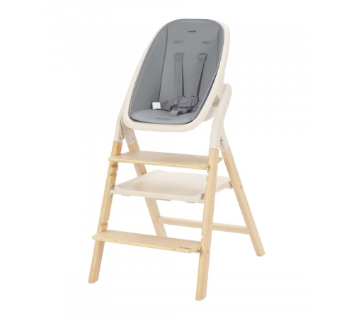 Стульчик для кормления Carrello Ergo CRL-1670, Carbon Grey