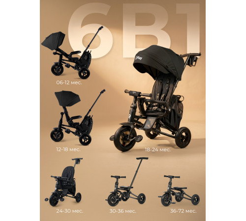 Трехколесный детский велосипед QPlay Rider Max, Black (Oxford/Matte Black)