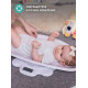 Многофункциональные электронные весы  Scaly Up