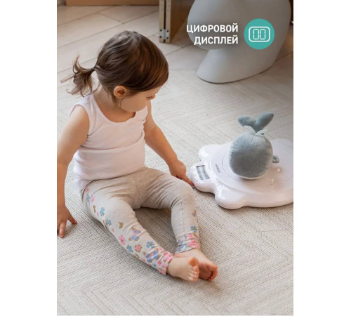 Многофункциональные электронные весы  Scaly Up