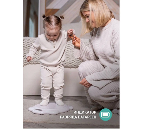 Многофункциональные электронные весы  Scaly Up